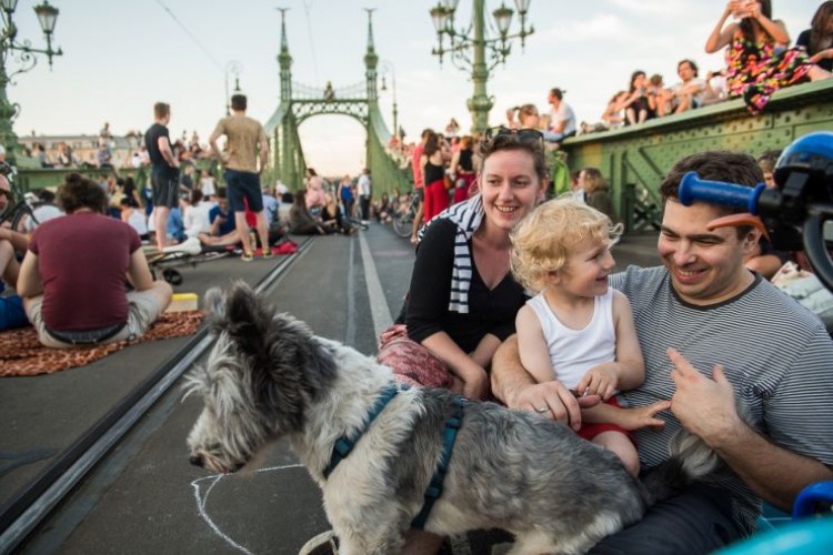 4 hétvégén ismét a városlakóké a Szabadság híd