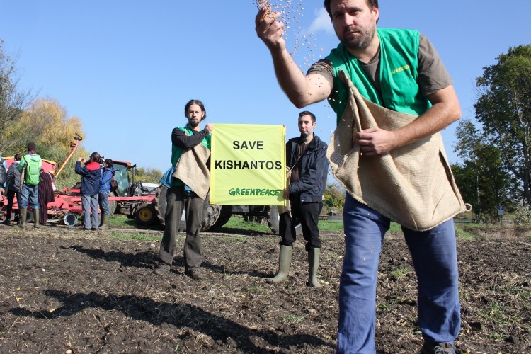 „Az embereknél kiverik a biztosítékot az eldobható műanyagok” – interjú a Greenpeace Magyarország kampányfelelősével