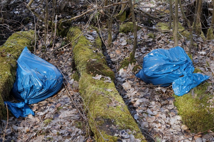 Magyarországon is betilthatják a műanyag zacskókat