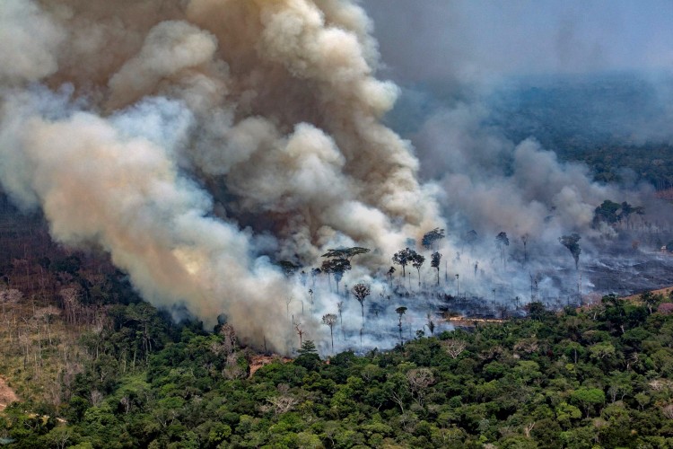 Fennáll az Amazonas-medence szavannává válásának esélye