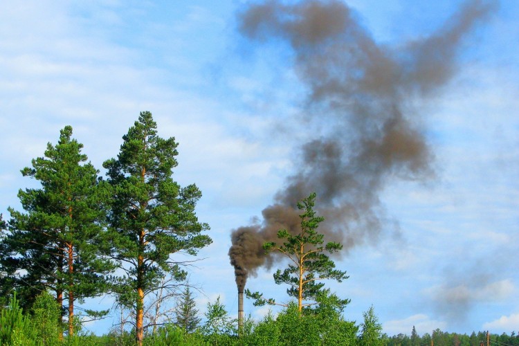 Bútorlapot inkább nagyvárosokban égetünk előszeretettel