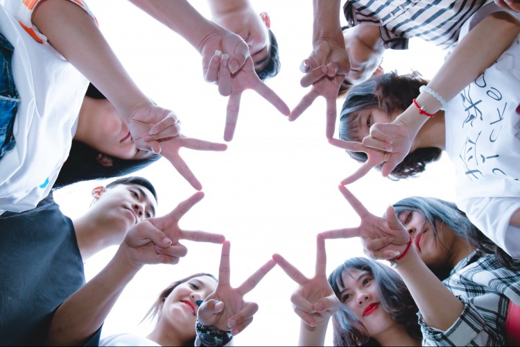 Pályázati felhívások