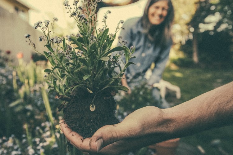 Szemléletformálás
