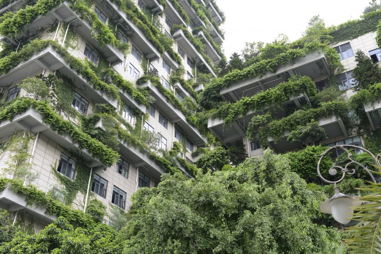 Pályázati felhívások