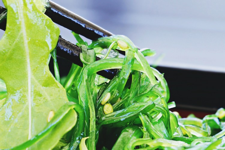 Hulladékgazdálkodás