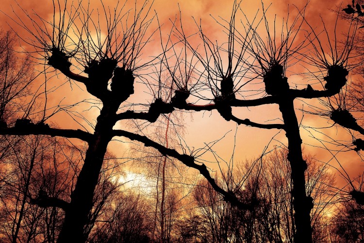 Termékek, szolgáltatások, szponzoráció