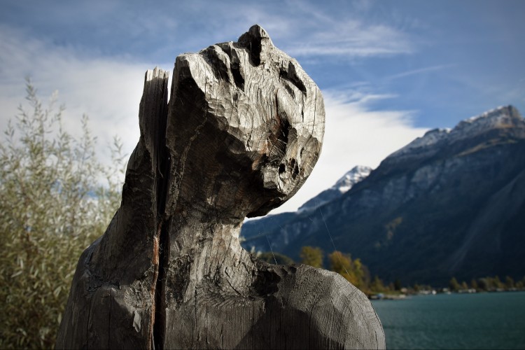 Pályázati felhívások