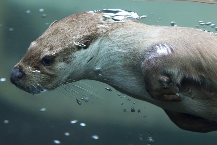 Termékek, szolgáltatások, szponzoráció