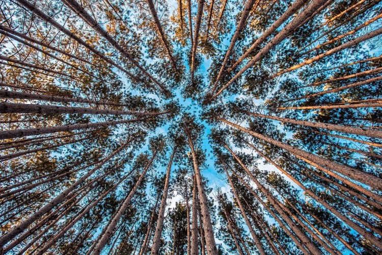 Hulladékgazdálkodás