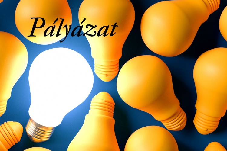 Pályázati felhívások