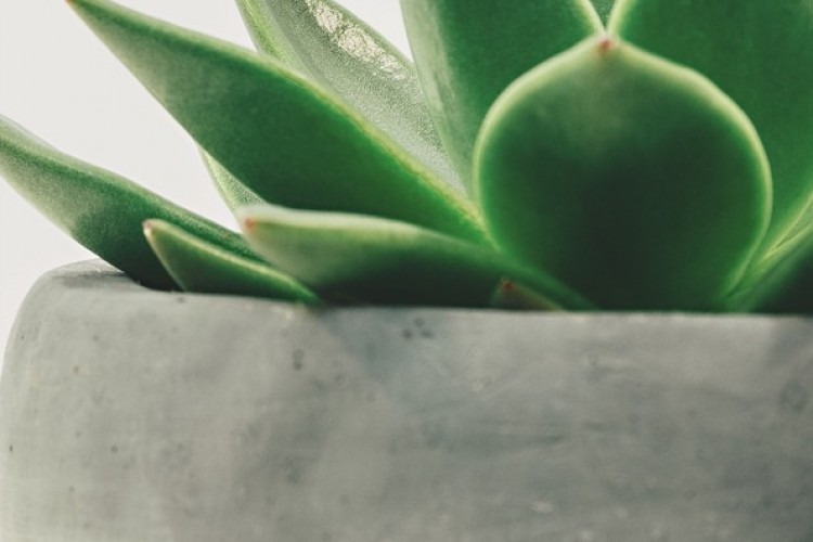 PR másként 1. – A fenntarthatatlan növekedés a civilizáció végzetét ostromolja