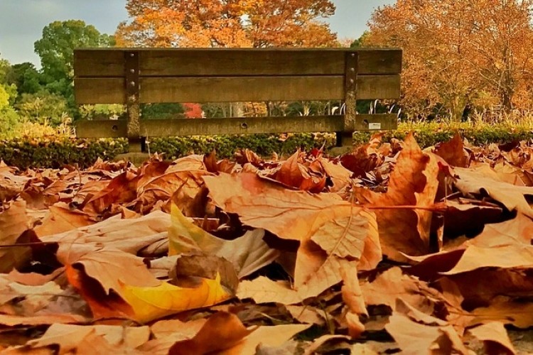 Hulladékgazdálkodás