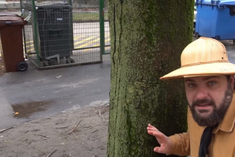 Hulladékgazdálkodás