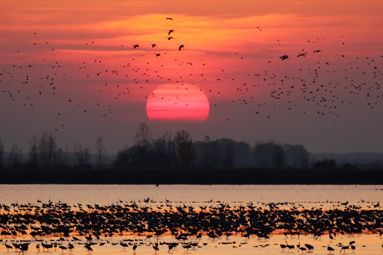 A nagy világon e kívül… – 1. rész