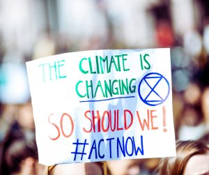 A ZIP is csatlakozott az új klímatörvény megalkotását szorgalmazókhoz