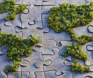 Vállalkozásként környezeti kármentesít? Akkor 2026-tól adókedvezményt kap!