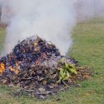 Tízszeres szennyezést okoz egyetlen avarkupac elégetése